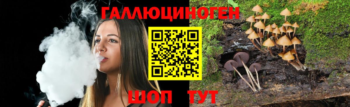 Псилоцибиновые грибы мицелий Михайловка