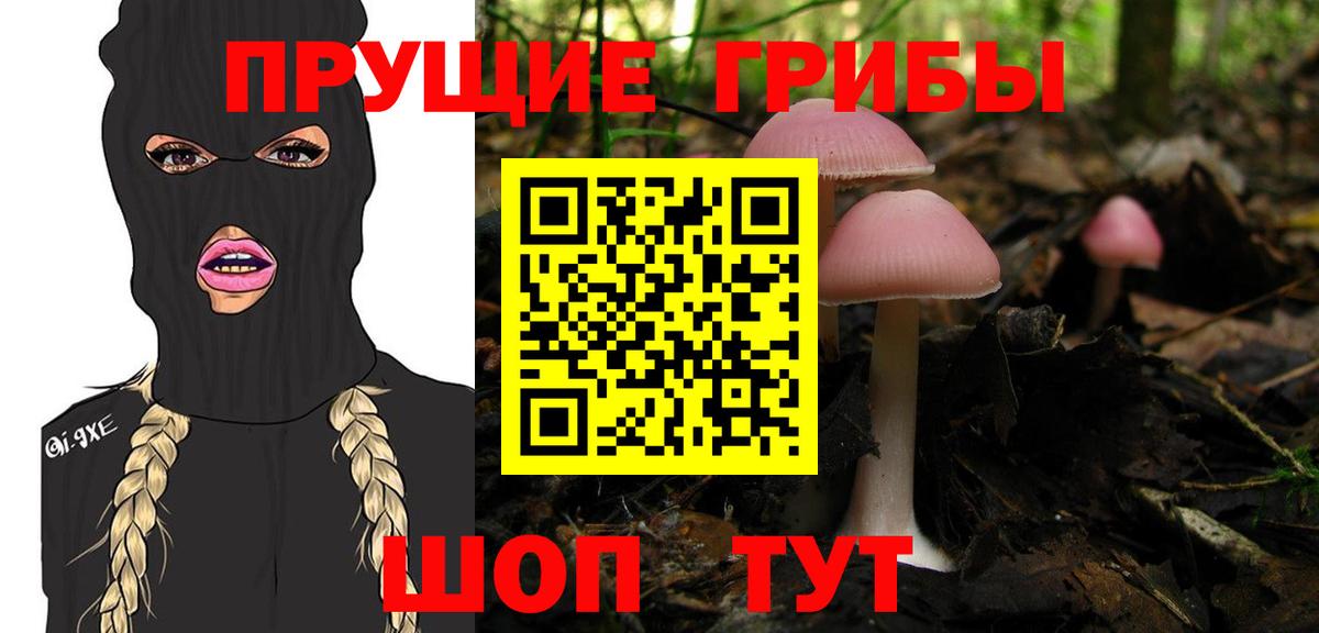наркота  Псилоцибиновые грибы ЛСД  Вход с VPN  Михайловка 